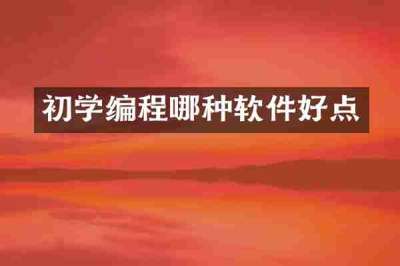 初学编程哪种软件好点