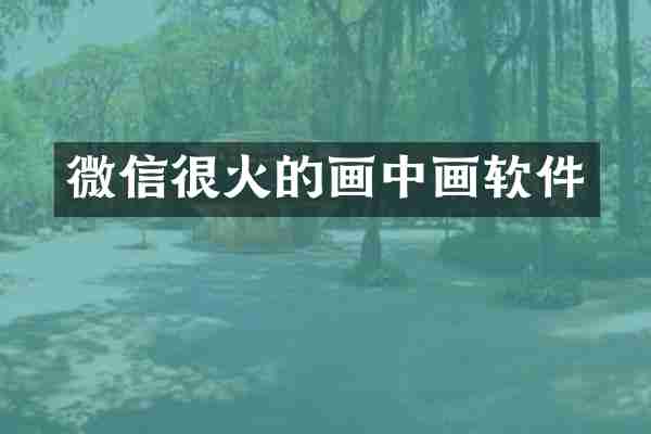 微信很火的画中画软件