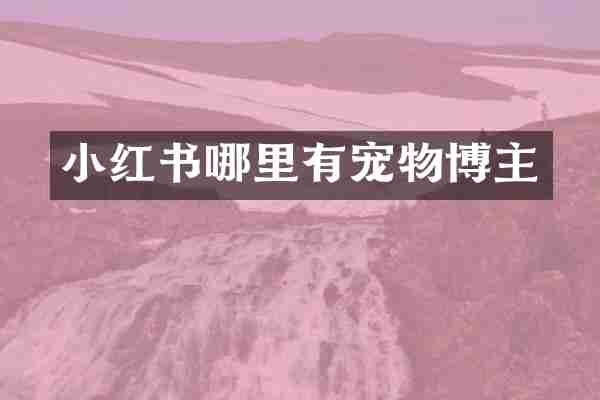 小红书哪里有宠物博主