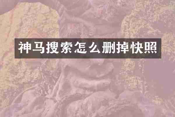 神马搜索怎么删掉快照