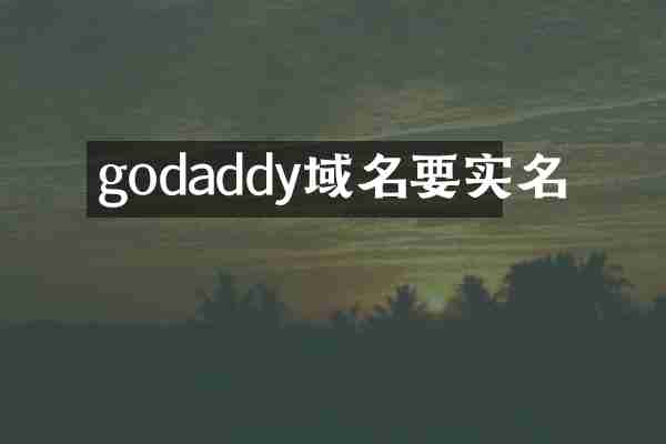 godaddy域名要实名