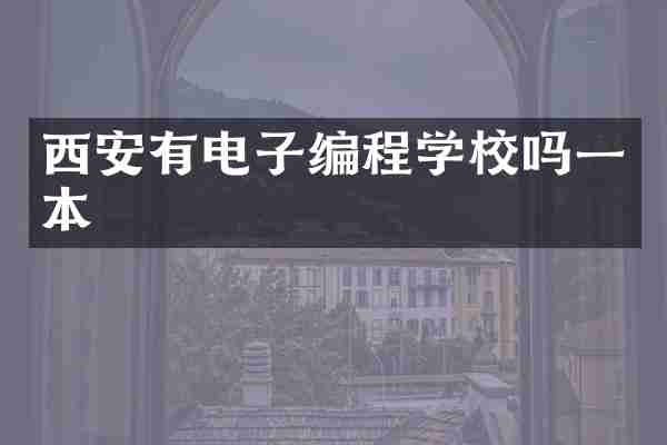 西安有电子编程学校吗一本