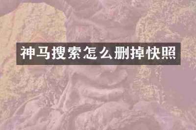 神马搜索怎么删掉快照