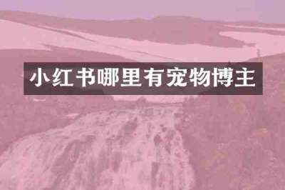 小红书哪里有宠物博主