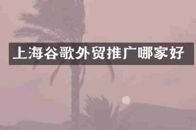 上海谷歌外贸推广哪家好
