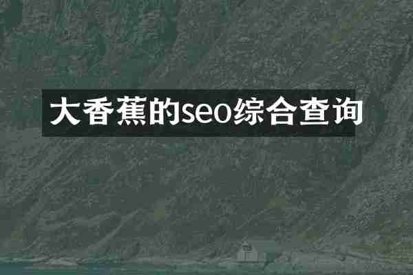 的seo综合查询