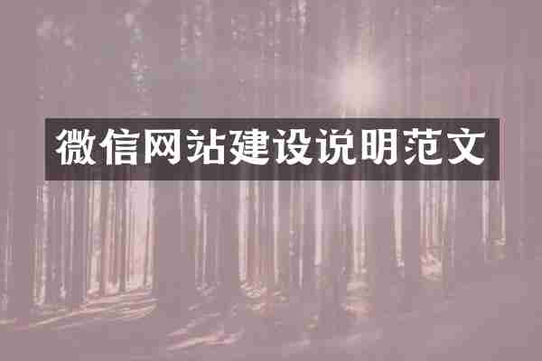 微信网站建设说明范文
