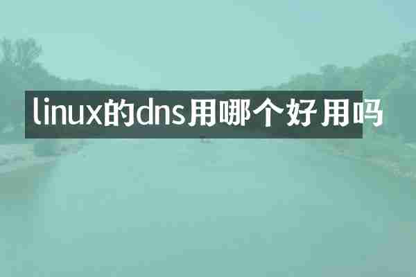 linux的dns用哪个好用吗