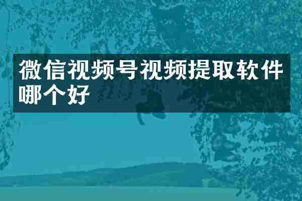 微信视频号视频提取软件哪个好