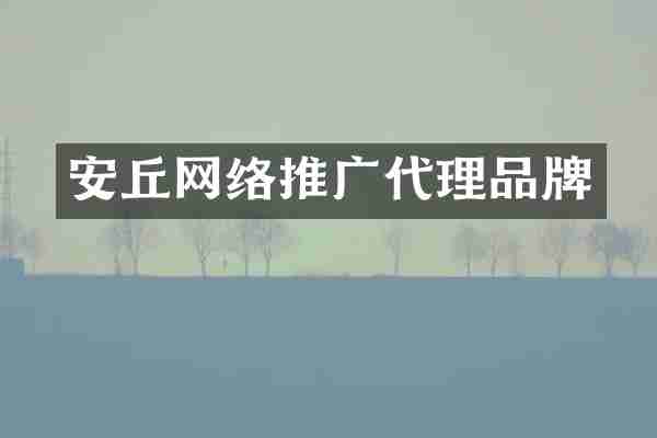 安丘网络推广代理品牌