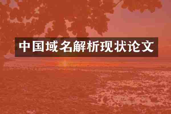 中国域名解析现状论文