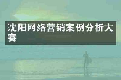 沈阳网络营销案例分析大赛
