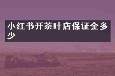 小红书开茶叶店保证金多少