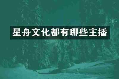 星舟文化都有哪些主播