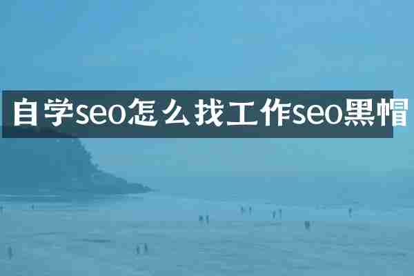 自学seo怎么找工作seo黑帽