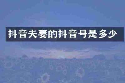 抖音夫妻的抖音号是多少