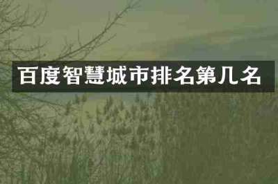 百度智慧城市排名第几名