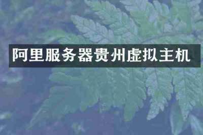 阿里服务器贵州虚拟主机