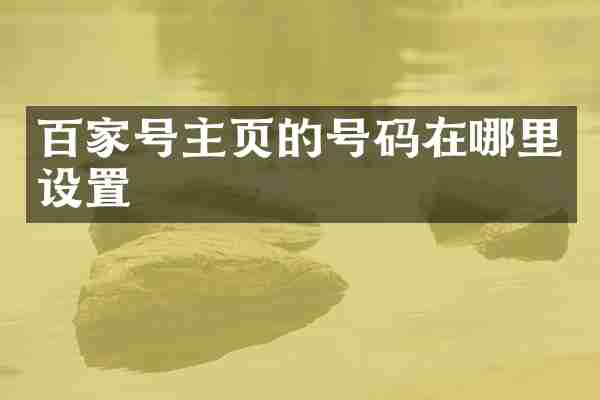 百家号主页的号码在哪里设置