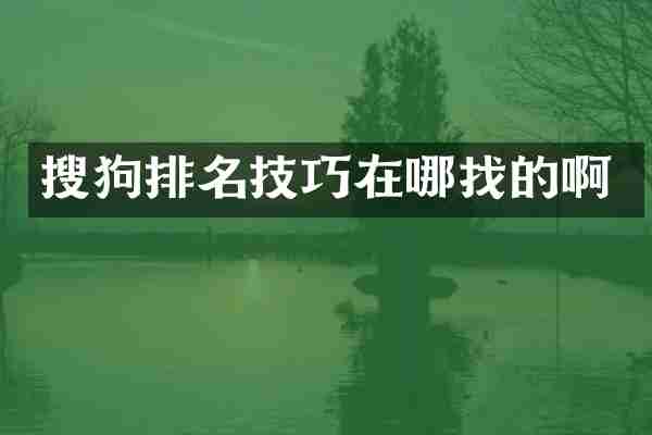 搜狗排名技巧在哪找的啊