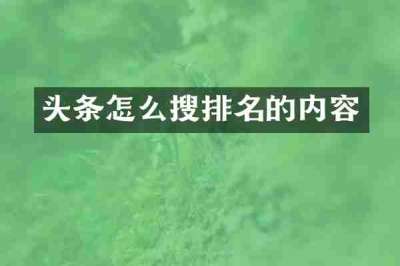 头条怎么搜排名的内容