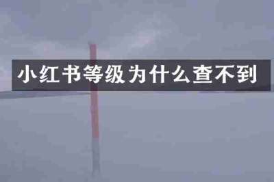 小红书等级为什么查不到