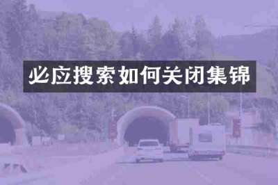 必应搜索如何关闭集锦