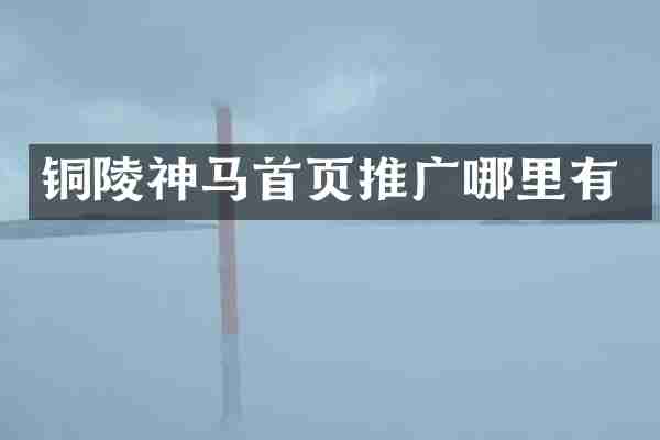铜陵神马首页推广哪里有