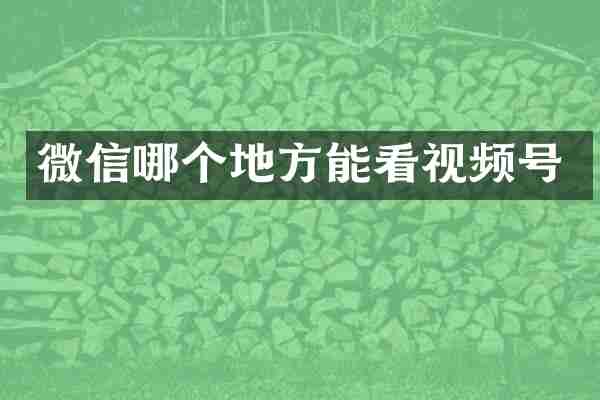 微信哪个地方能看视频号