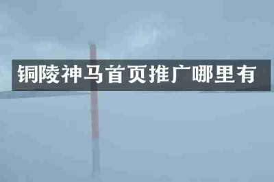铜陵神马首页推广哪里有