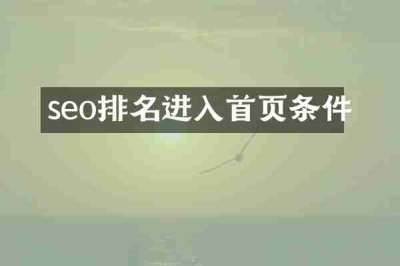 seo排名进入首页条件