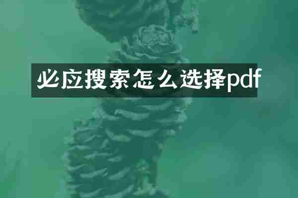 必应搜索怎么选择pdf