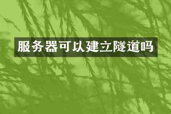 服务器可以建立隧道吗