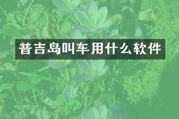 普吉岛叫车用什么软件