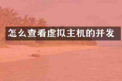 怎么查看虚拟主机的并发