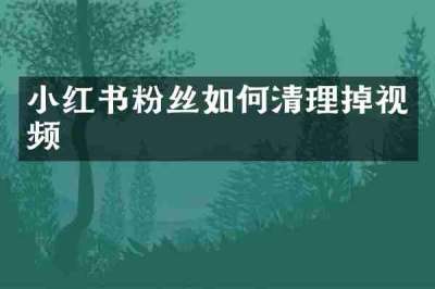 小红书粉丝如何清理掉视频