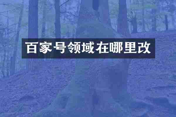 百家号领域在哪里改