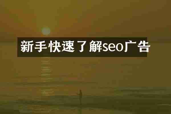 新手快速了解seo广告
