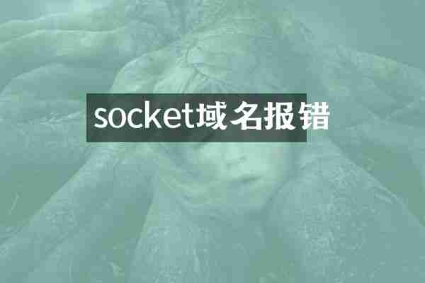 socket域名报错