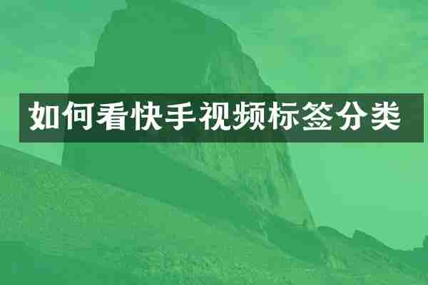 如何看快手视频标签分类
