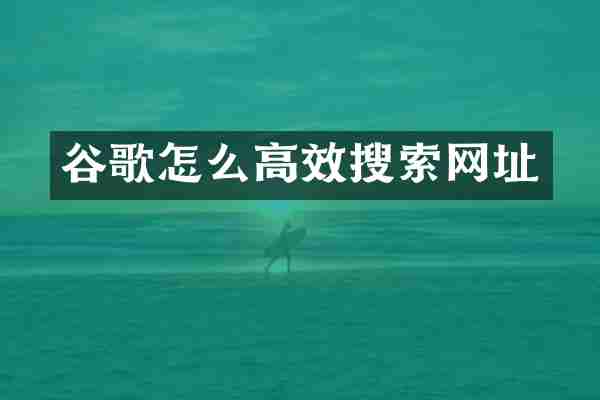 谷歌怎么高效搜索网址