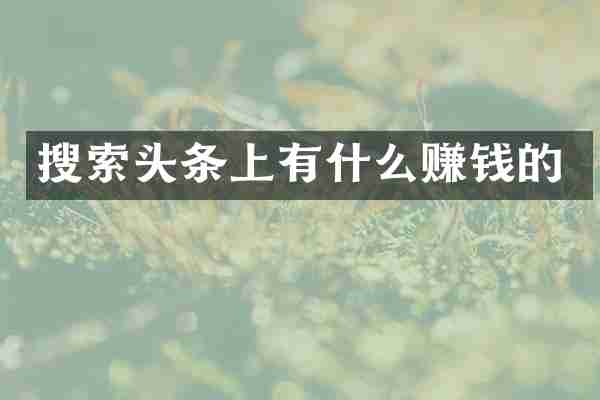 搜索头条上有什么赚钱的