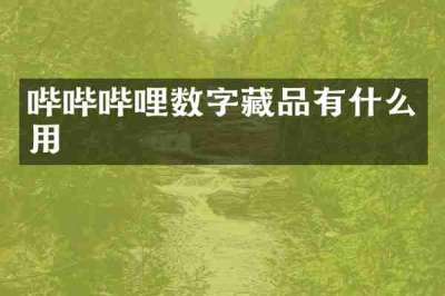 哔哔哔哩数字藏品有什么用
