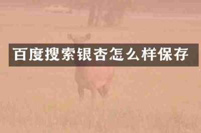 百度搜索银杏怎么样保存