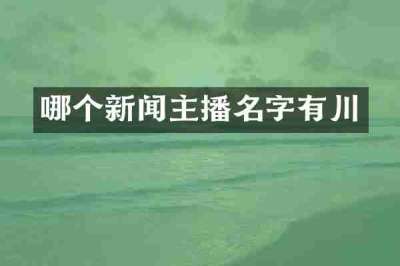 哪个新闻主播名字有川
