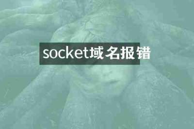 socket域名报错