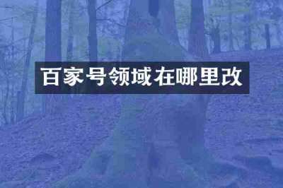 百家号领域在哪里改