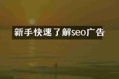 新手快速了解seo广告