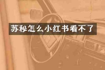 苏秘怎么小红书看不了