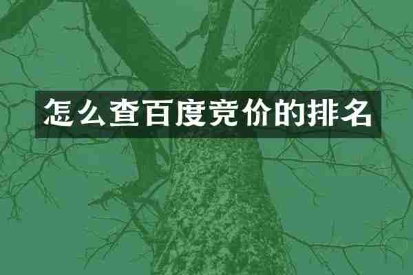 怎么查百度竞价的排名